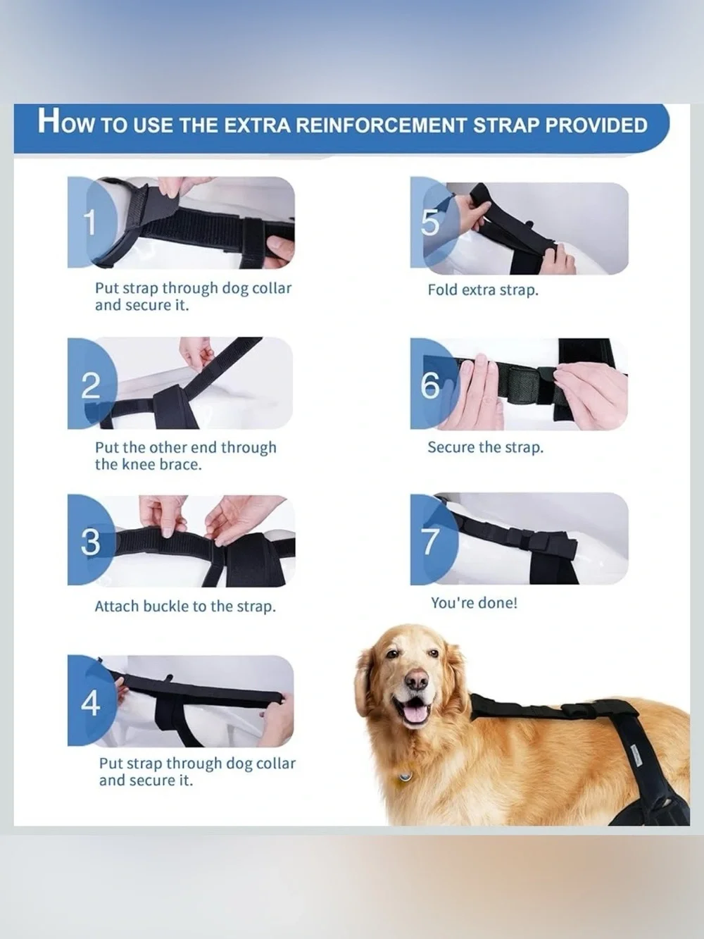 merrymilo stabilizes knee